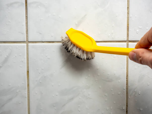 Best Certified Mold Removal  in Green Island, NY