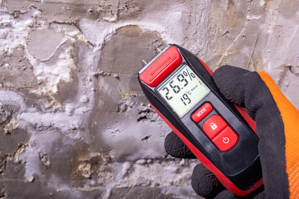 Best Mold Testing  in Green Island, NY