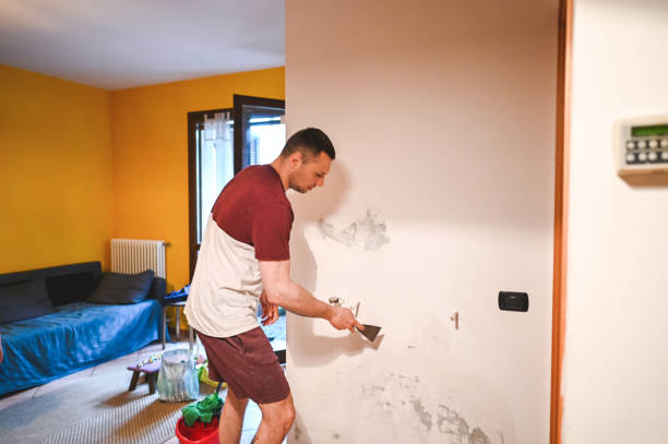 Best Mold Remediation  in Green Island, NY